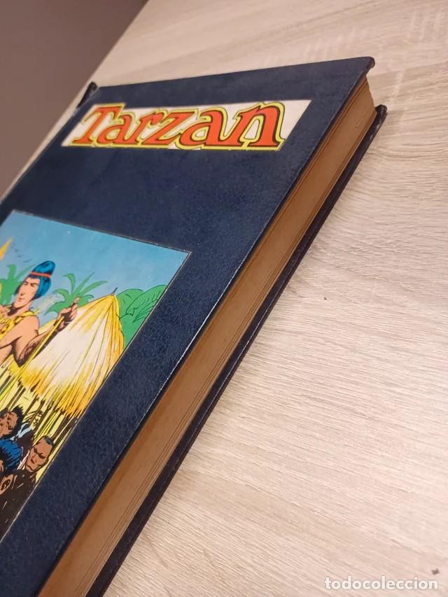 C&oacute;mics: Tarz&aacute;n. Hal Foster - Foto 3