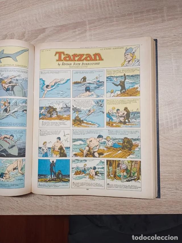 C&oacute;mics: Tarz&aacute;n. Hal Foster - Foto 4