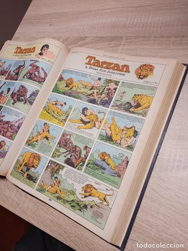 C&oacute;mics: Tarz&aacute;n. Hal Foster - Foto 5