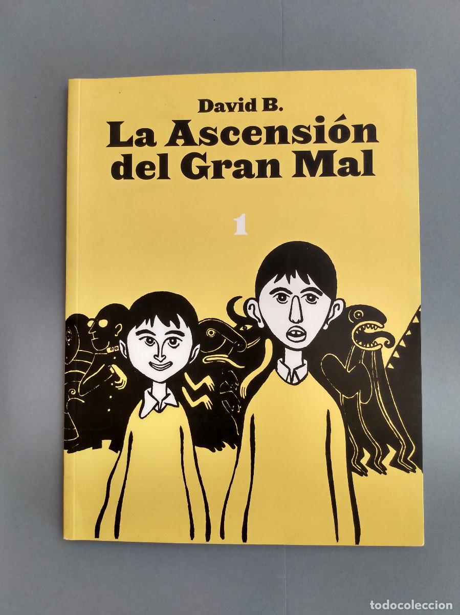 C&oacute;mics: La Ascensi&oacute;n del Gran Mal 1. David B. Sins entido - Foto 1