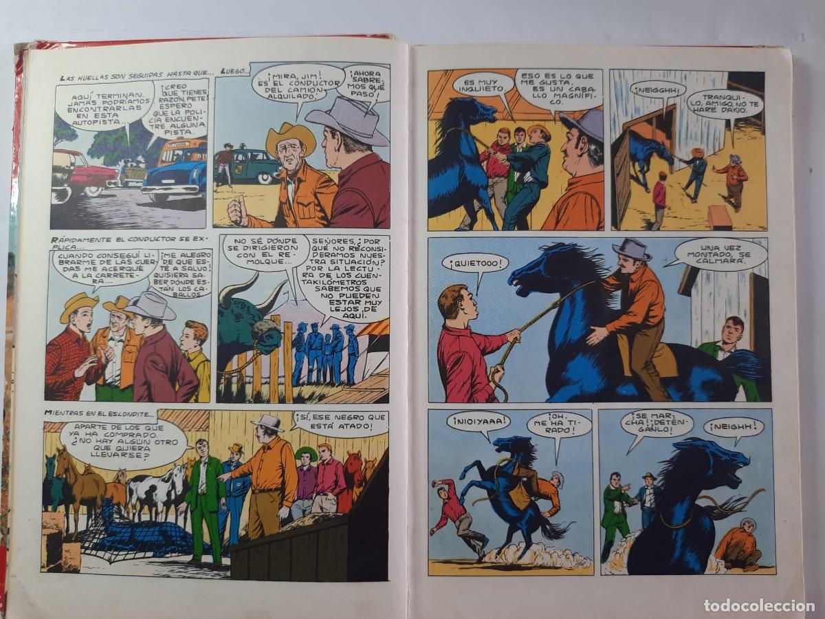 C&oacute;mics: FURIA - Foto 2
