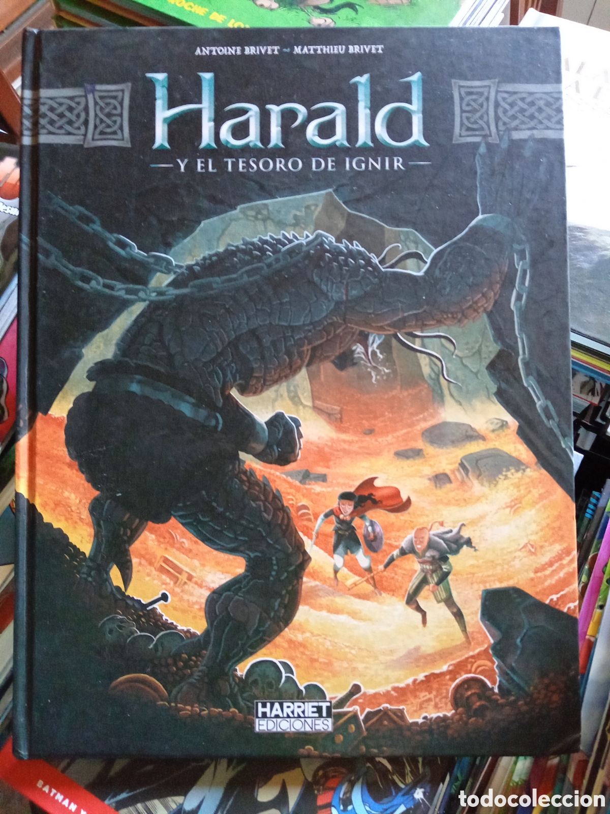 C&oacute;mics: Harald y el tesoro de Ignir 2 cj97 - Foto 1