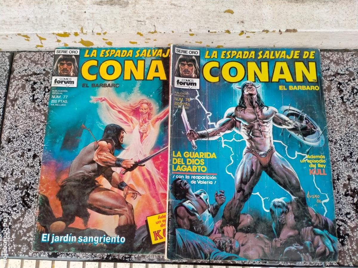 C&oacute;mics: COMIC CONAN LA ESPADA SALVAJE - Foto 1