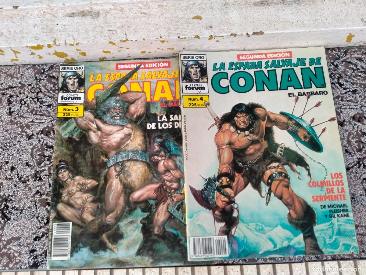C&oacute;mics: COMIC CONAN LA ESPADA SALVAJE - Foto 1