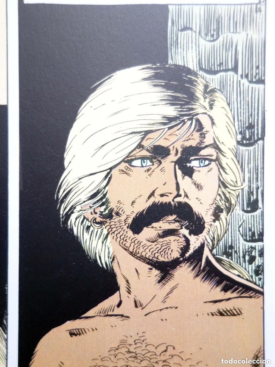 C&oacute;mics: * SIM&Oacute;N DEL R&Iacute;O : AUCLAIR * COMPLETO 2 INTEGRALES CARTON&Eacute; * PONENT MON 2017 * - Foto 10
