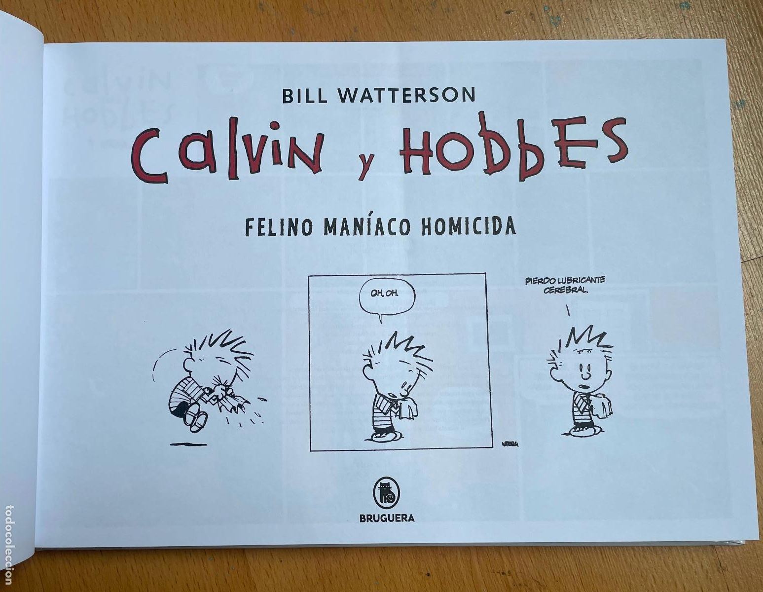 C&oacute;mics: CALVIN Y HOBBES Bill Watterson - Foto 2