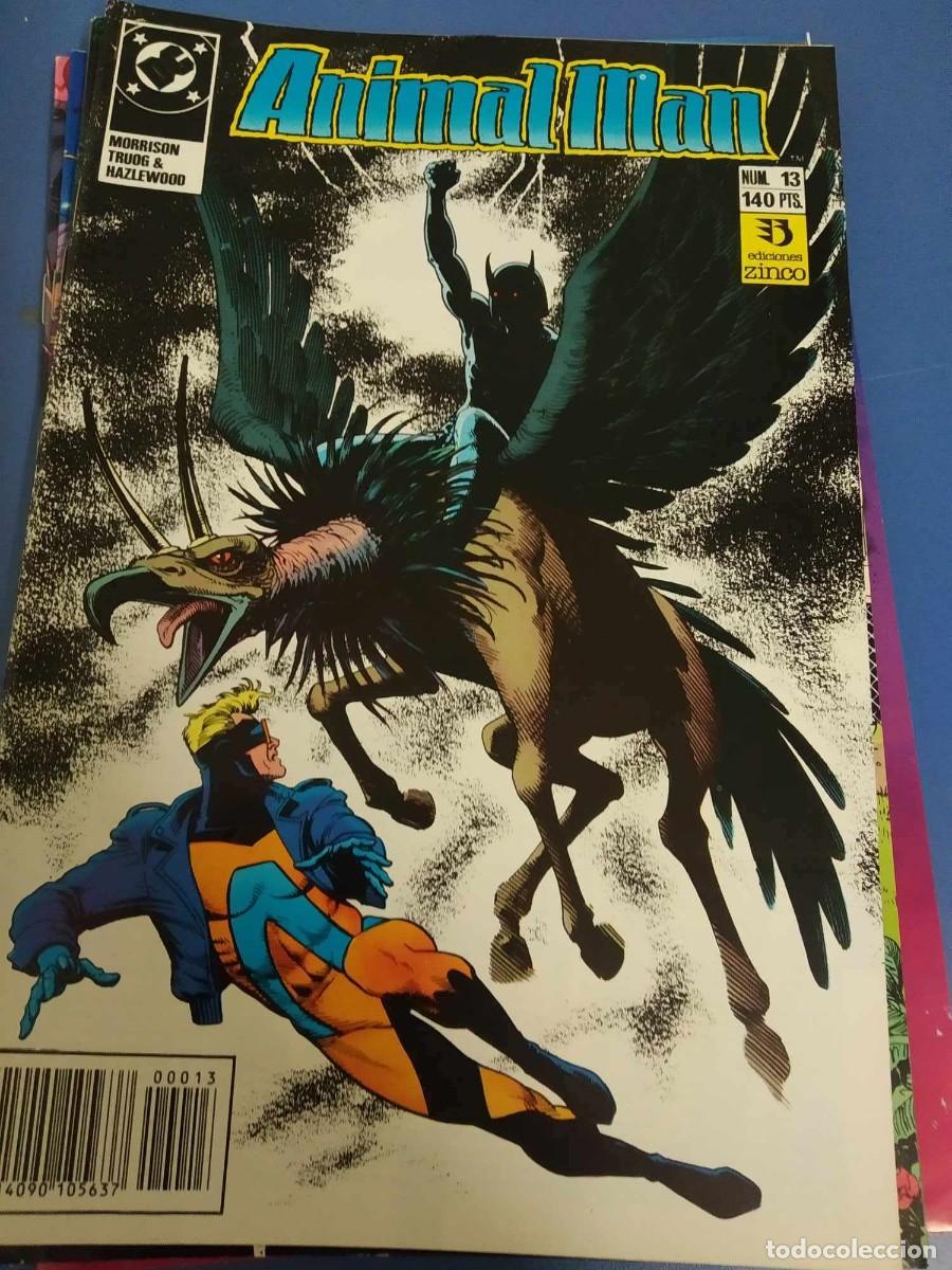 C&oacute;mics: ANIMAL MAN N&ordm; 13 - Foto 1