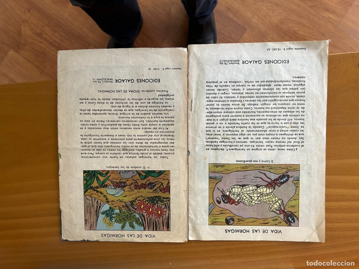 C&oacute;mics: juana arco n&ordm; 1 y 5 coomo se ven - Foto 2