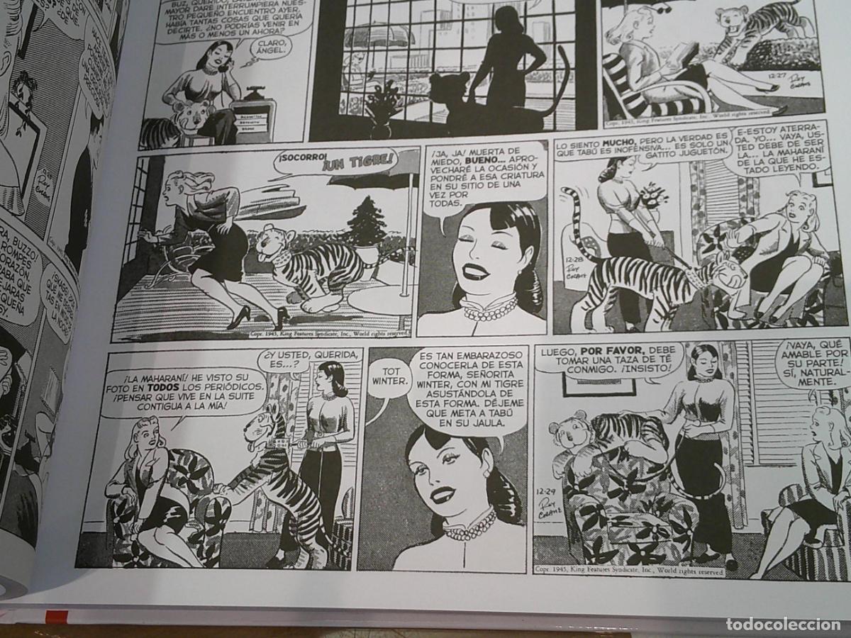 C&oacute;mics: BUZ SAWYER 1945-1947 DILY STRIPS - DOLMEN OFERTA - Foto 3