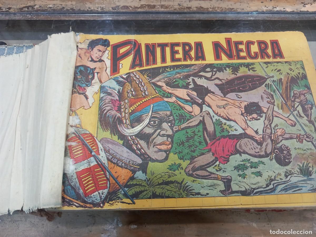 C&oacute;mics: Pantera Negra, completa, original 54 n&uacute;meros. Encuadernada. - Foto 1