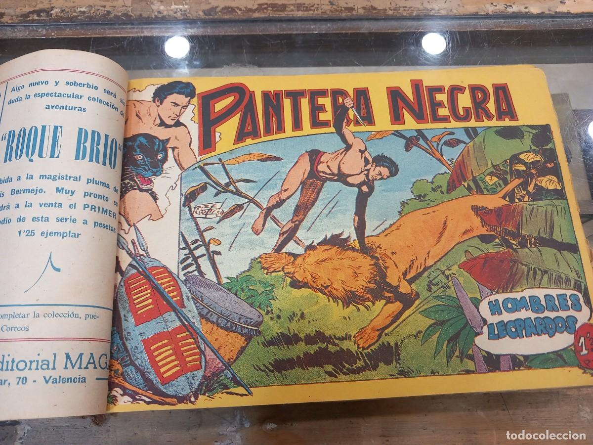 C&oacute;mics: Pantera Negra, completa, original 54 n&uacute;meros. Encuadernada. - Foto 3