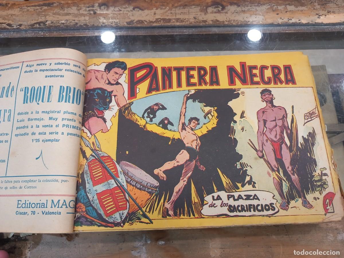 C&oacute;mics: Pantera Negra, completa, original 54 n&uacute;meros. Encuadernada. - Foto 4