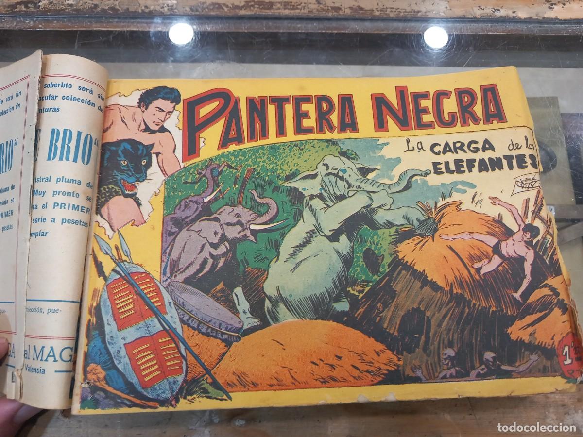 C&oacute;mics: Pantera Negra, completa, original 54 n&uacute;meros. Encuadernada. - Foto 5
