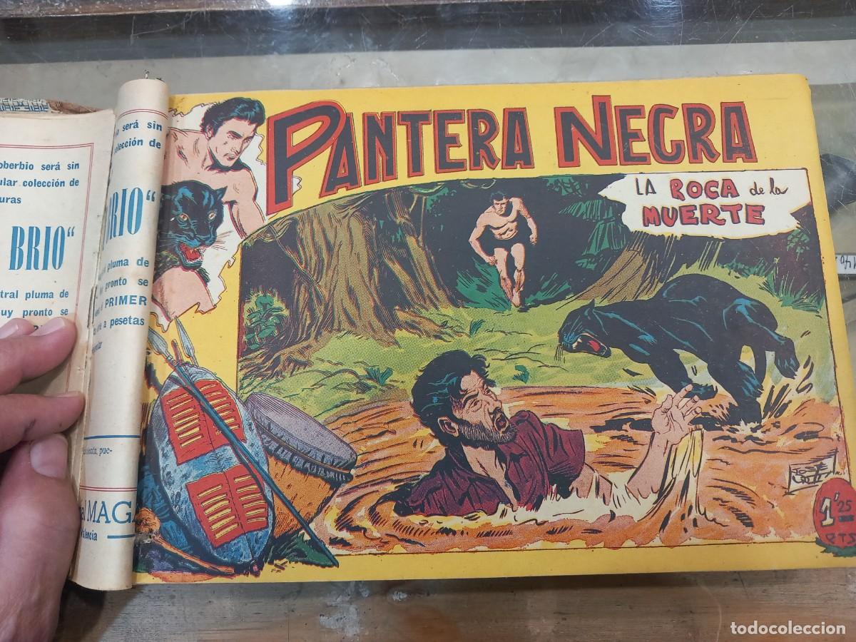 C&oacute;mics: Pantera Negra, completa, original 54 n&uacute;meros. Encuadernada. - Foto 6