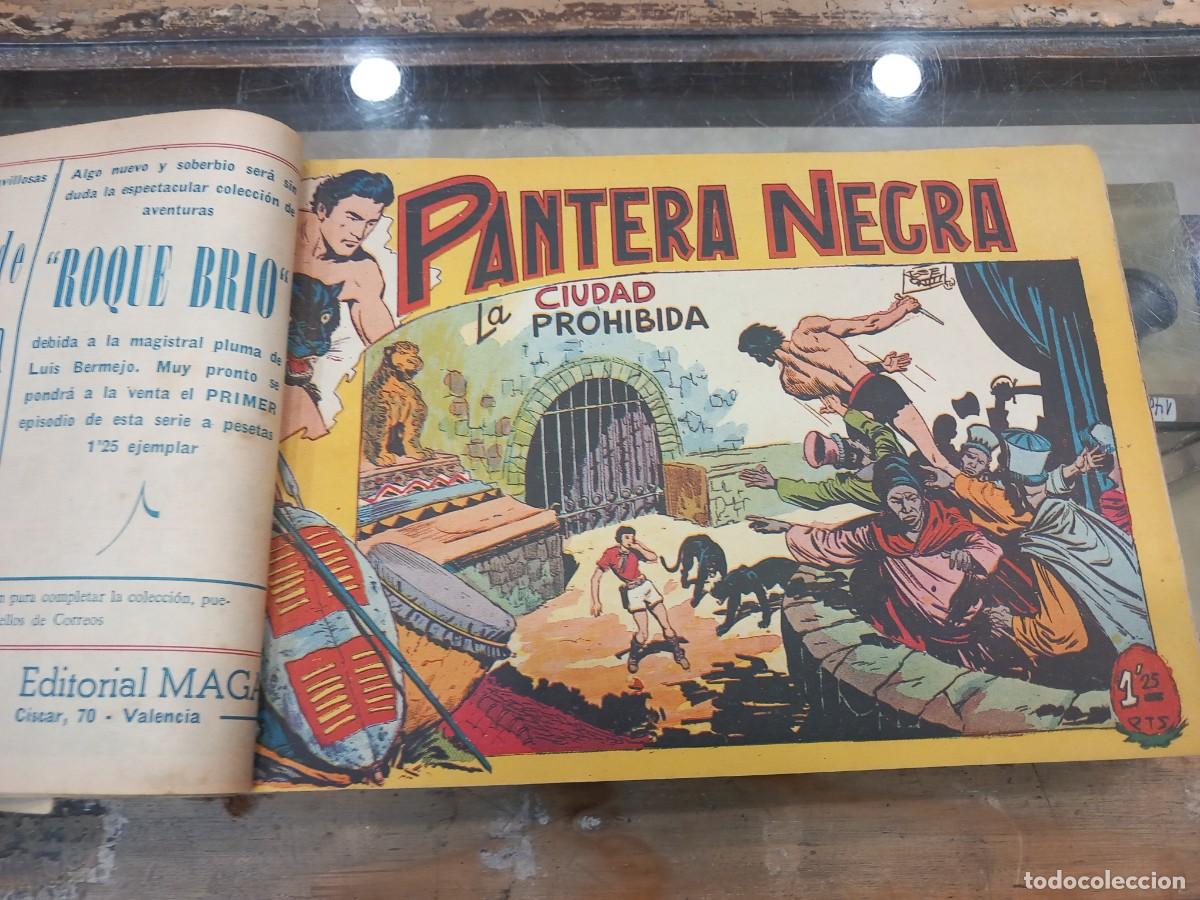 C&oacute;mics: Pantera Negra, completa, original 54 n&uacute;meros. Encuadernada. - Foto 8
