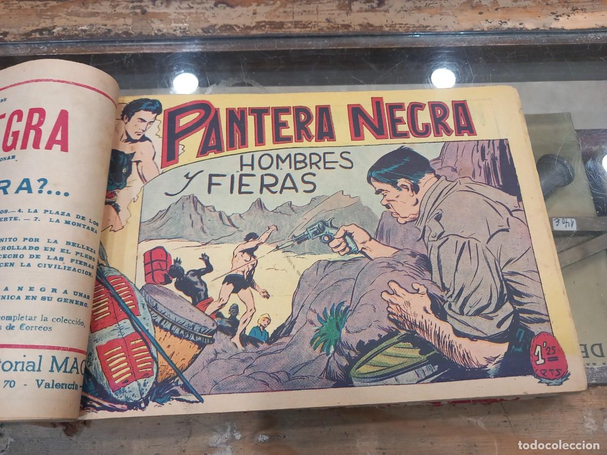 C&oacute;mics: Pantera Negra, completa, original 54 n&uacute;meros. Encuadernada. - Foto 13