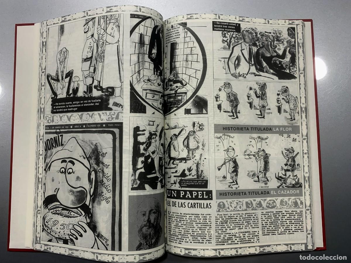 C&oacute;mics: Gila y La Codorniz - Foto 9