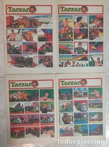 C&oacute;mics: COMIC - TARZAN TRES LOTES ITALIANO - Foto 2
