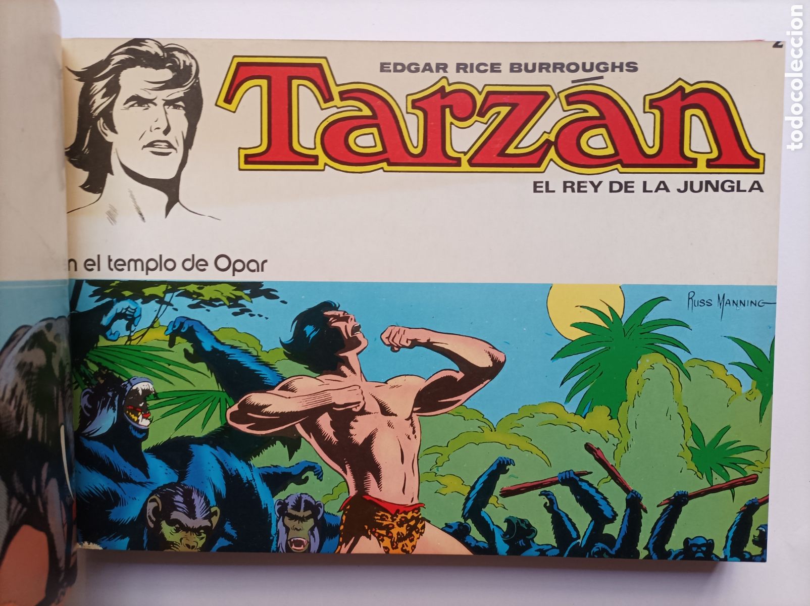 C&oacute;mics: TARZ&Aacute;N. 6 PRIMEROS N&Uacute;MEROS. BURROUGHS. NOVARO. COMIC. - Foto 1