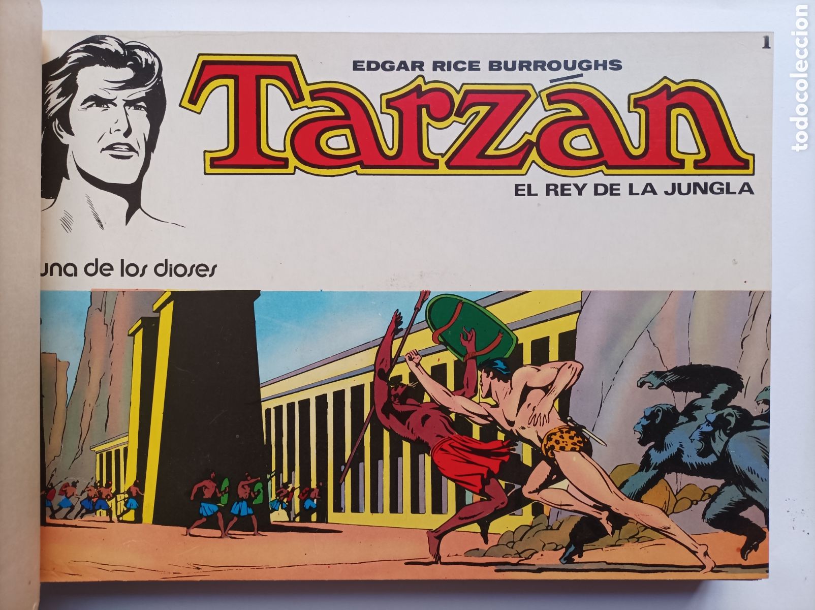 C&oacute;mics: TARZ&Aacute;N. 6 PRIMEROS N&Uacute;MEROS. BURROUGHS. NOVARO. COMIC. - Foto 2