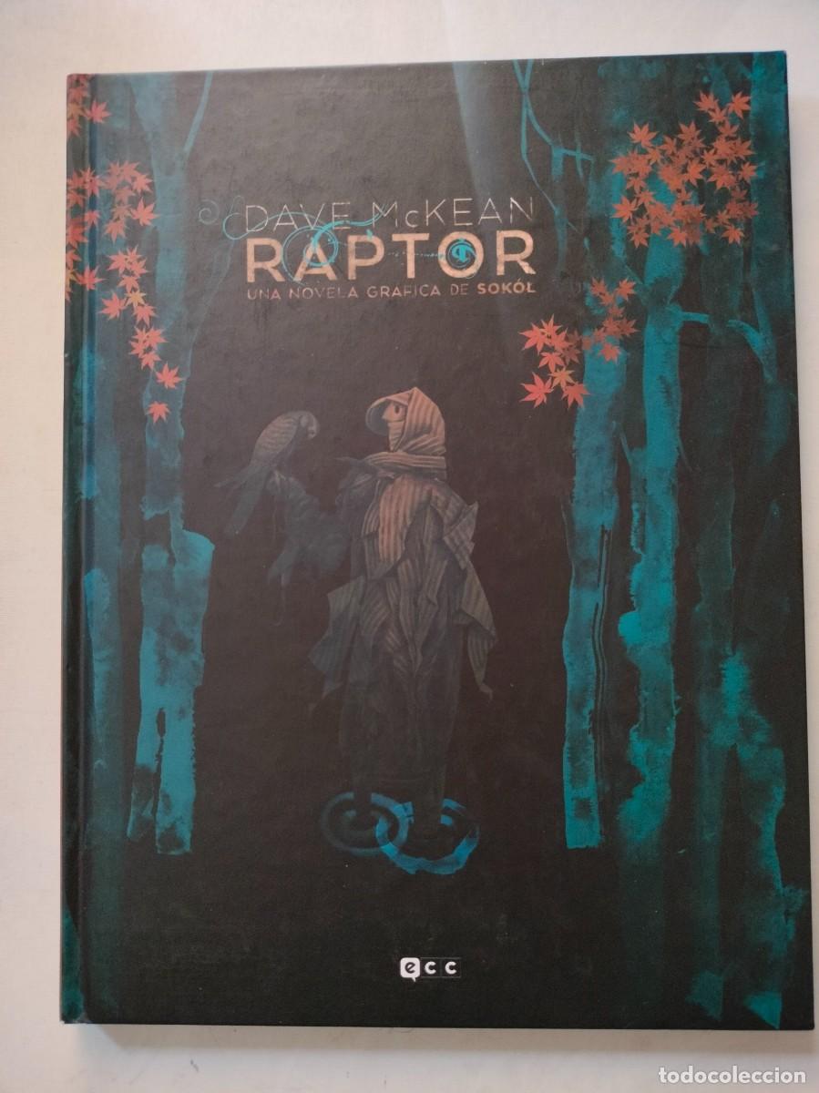 C&oacute;mics: RAPTOR.UNA NOVELA GR&Aacute;FICA DE SOK&Oacute;L.DAVE McKEAN. ECC. - Foto 1