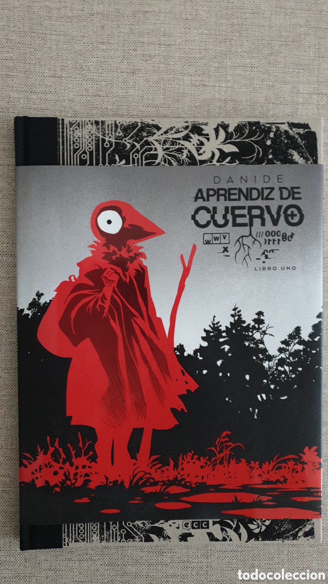 C&oacute;mics: Aprendiz de cuervo, Danide - Foto 1