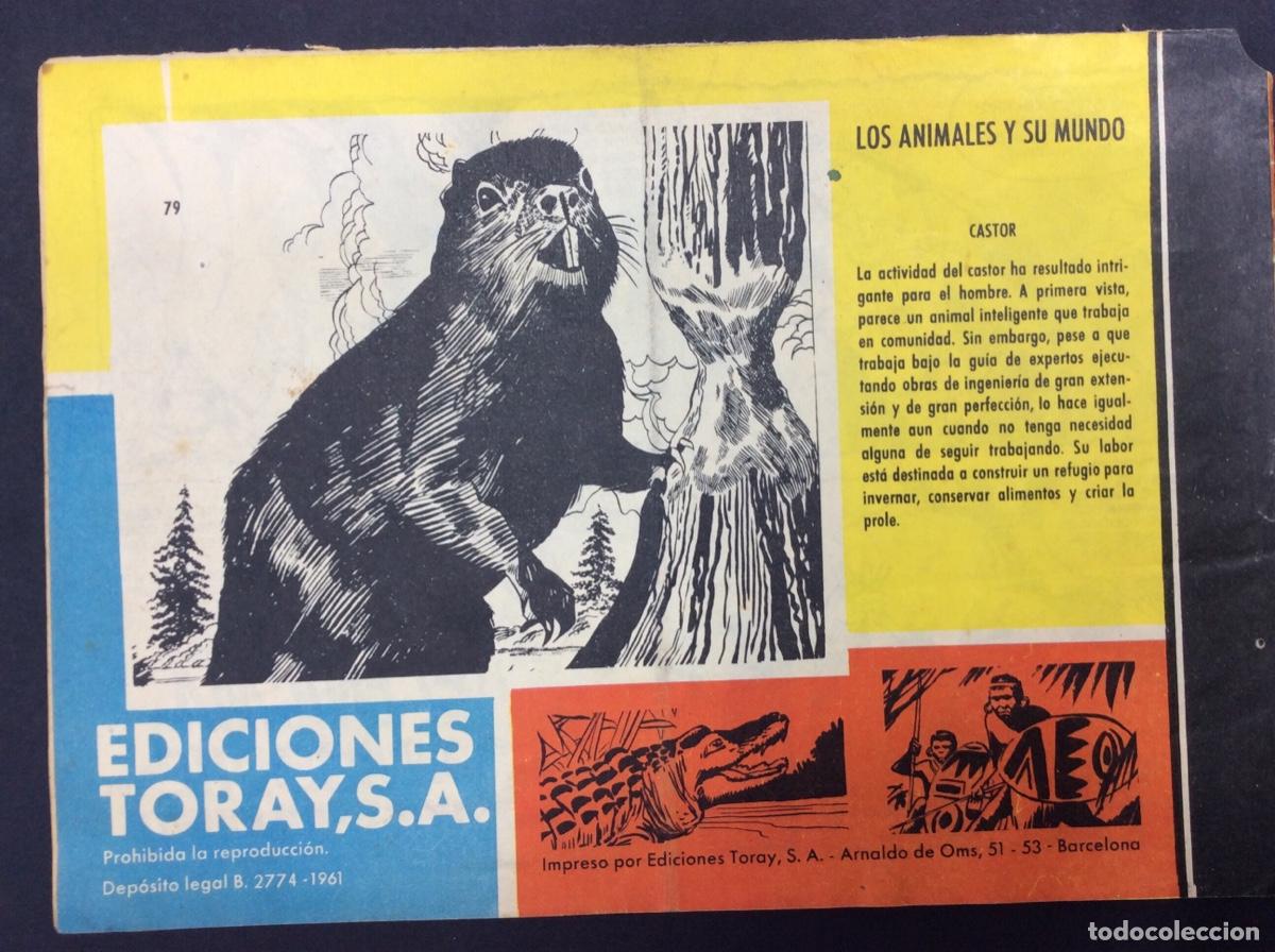 C&oacute;mics: tamar - los cavernicolas - 79 - Foto 2