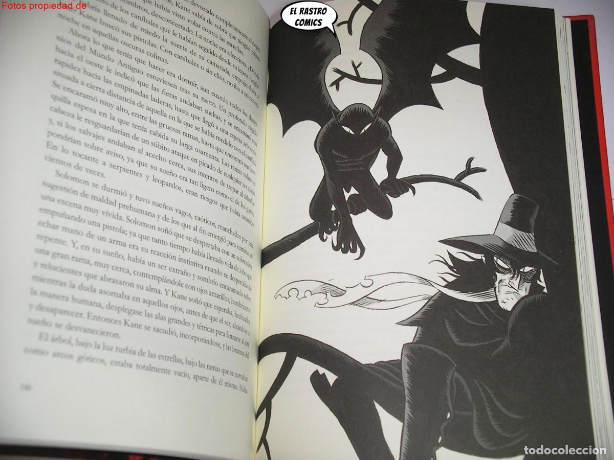 C&oacute;mics: Solomon Kane, Robert E Howard, David Rubin, ed. Astiberri 2010 - Foto 4