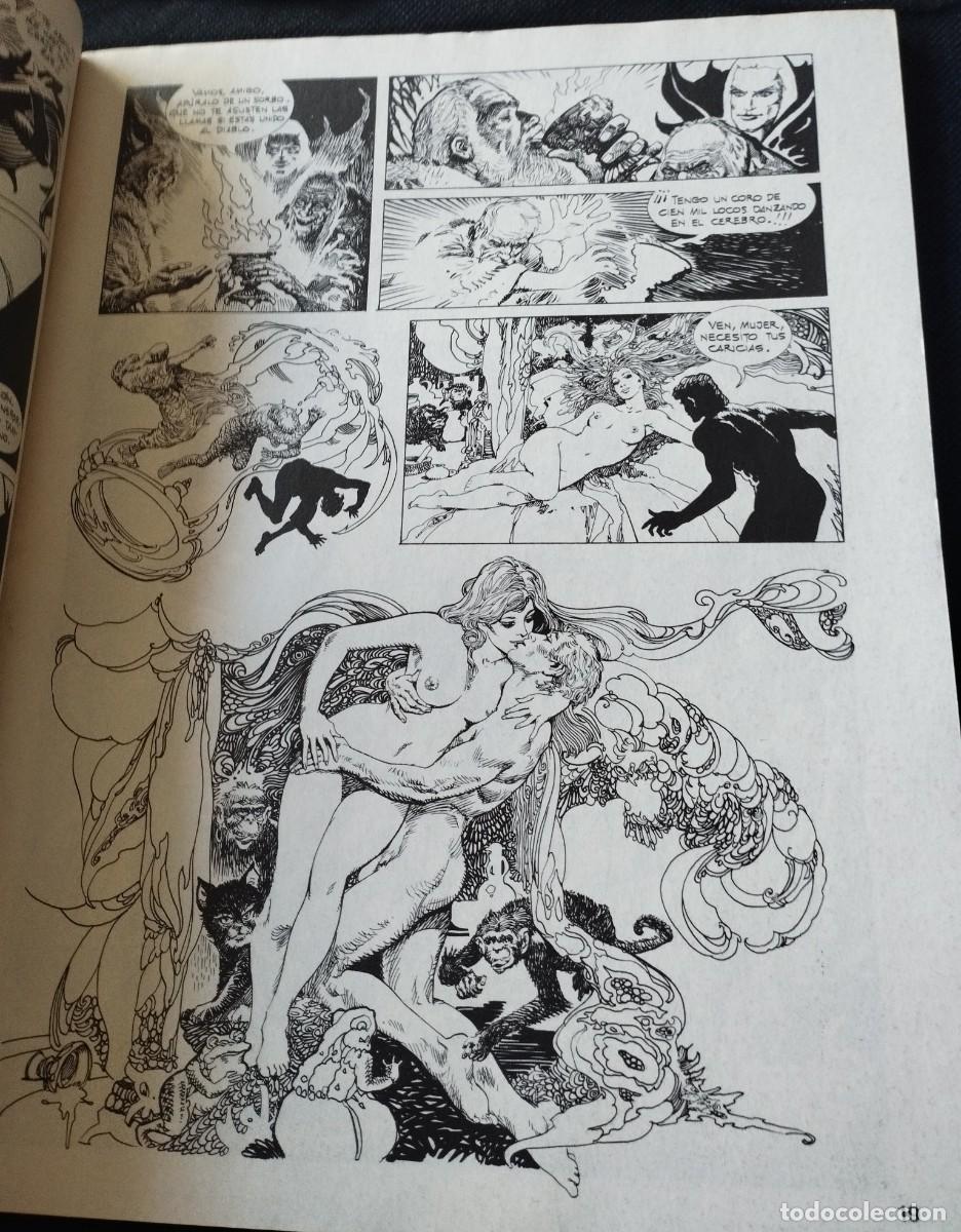 C&oacute;mics: Comic Creepy,segunda epoca n&uacute;mero 4 ,1990 - Foto 3