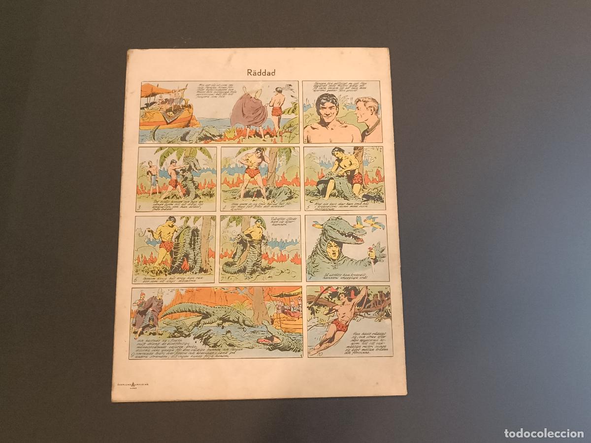 C&oacute;mics: TARZAN - 1945 - COMIC EN SUECO - EDITORIAL AKERLUND & RAUSING - (V-25.907) - Foto 9