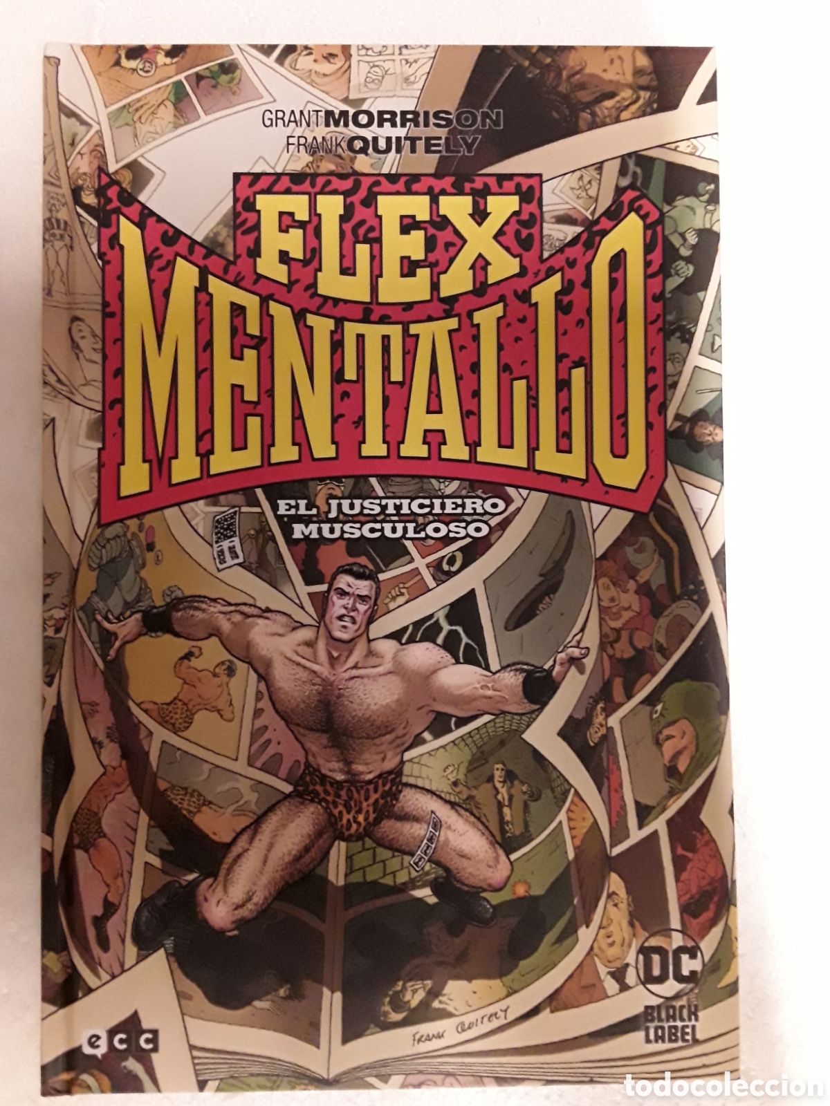 C&oacute;mics: Flex Mentallo. El justiciero musculoso - Morrison, Quitely - ECC c&oacute;mics - Foto 1