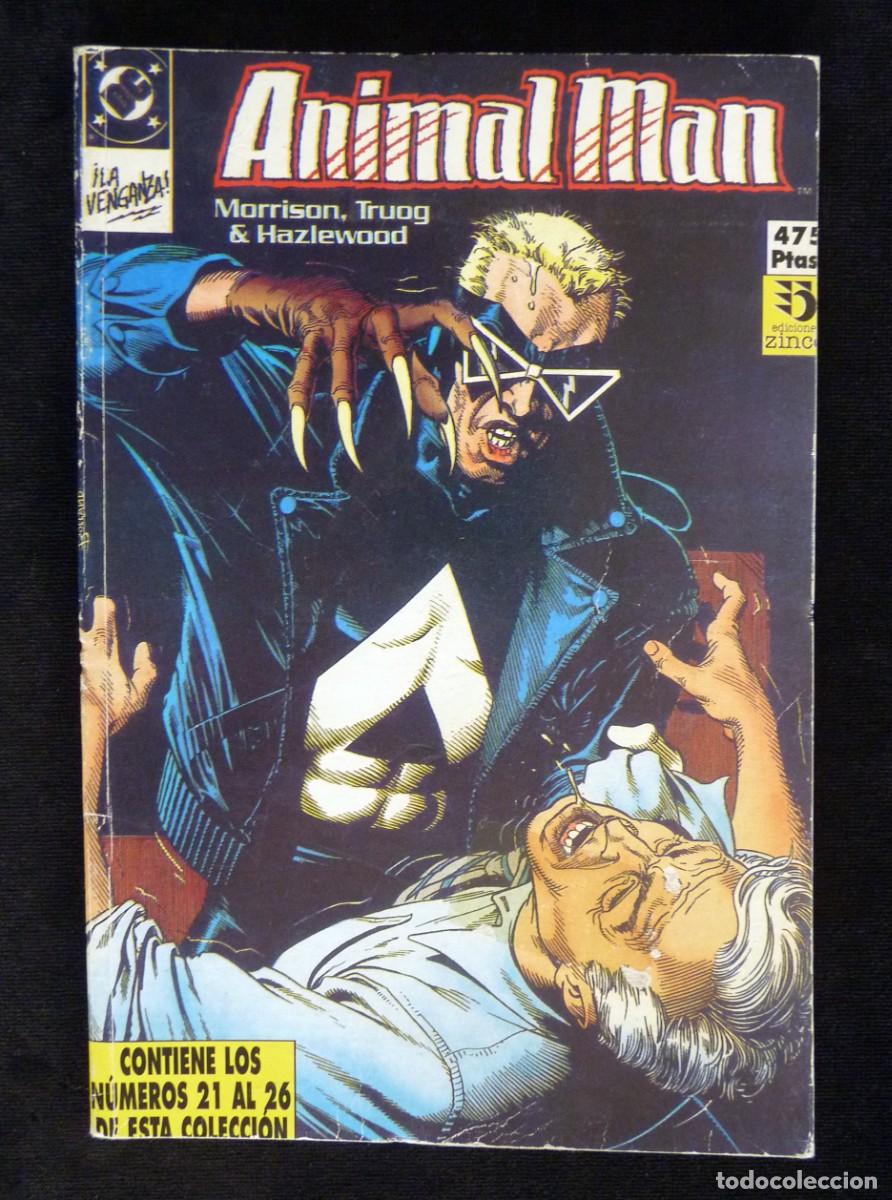 C&oacute;mics: LOTE DE 11 COMICS VARIADOS + CARPETA CON 6 POSTERS. VARIAS EDITORIALES - Foto 16
