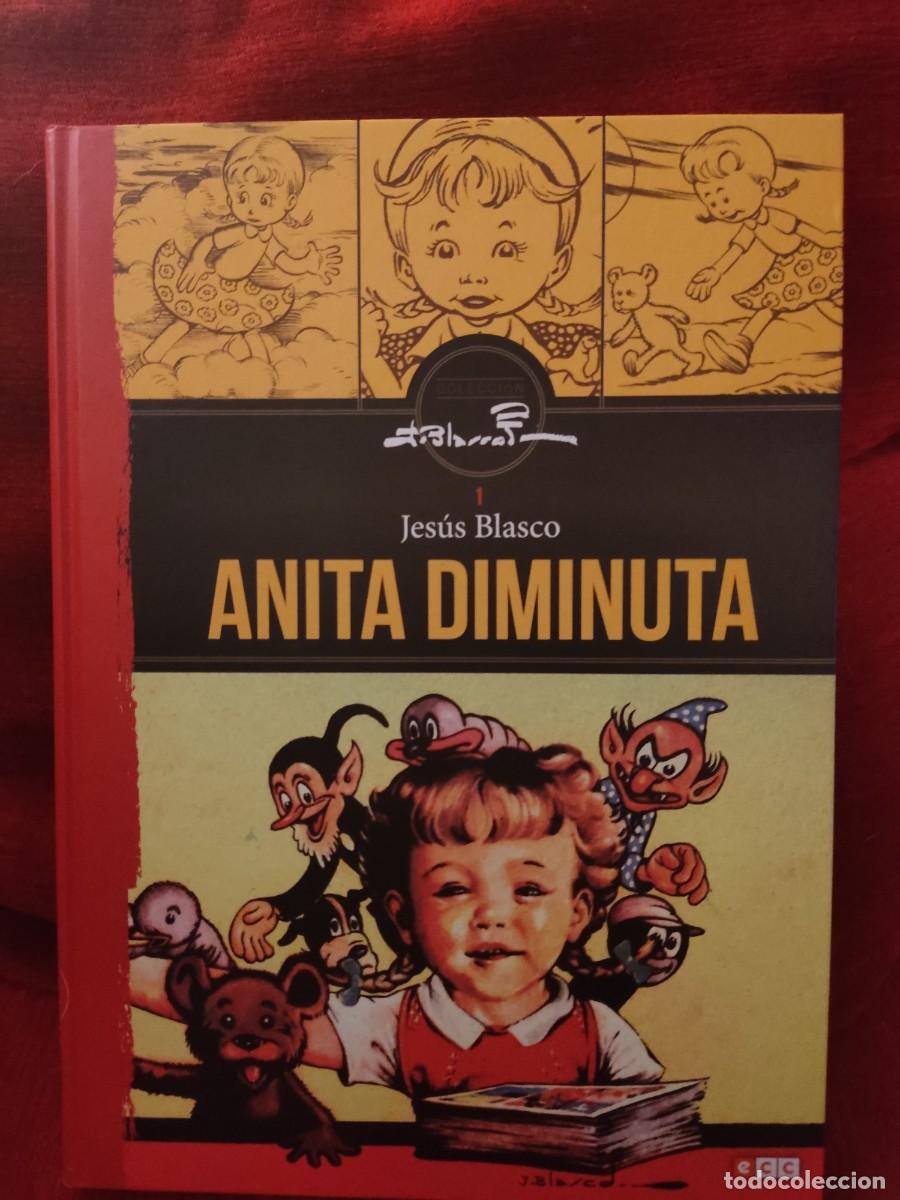 C&oacute;mics: COLECCI&Oacute;N JES&Uacute;S BLASCO ANITA DIMINUTA ECC C&Oacute;MICS - Foto 1