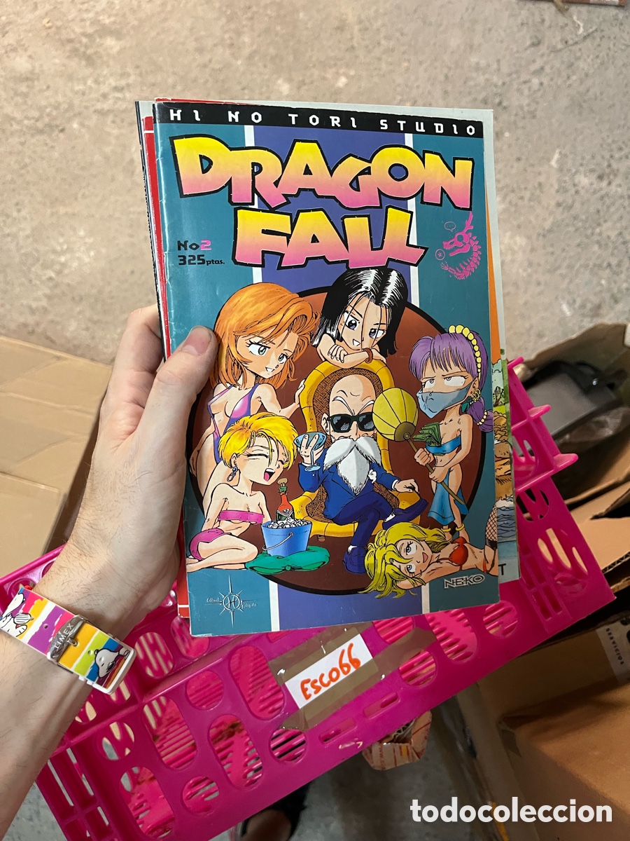 C&oacute;mics: Esco17 dragon fall 2 - comic - Foto 1