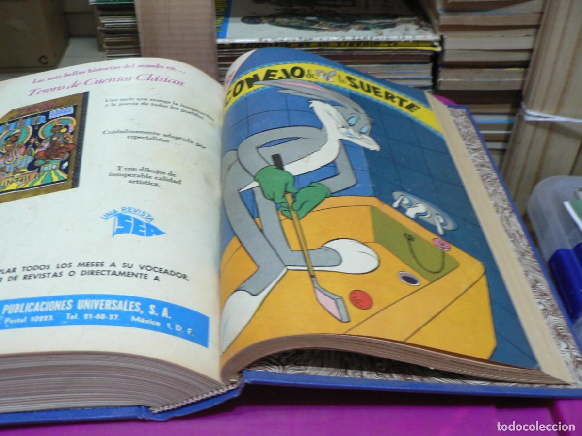 C&oacute;mics: DUMBO TOMO CON 23 EJEMPLARES Y CINCO MAS - Foto 3
