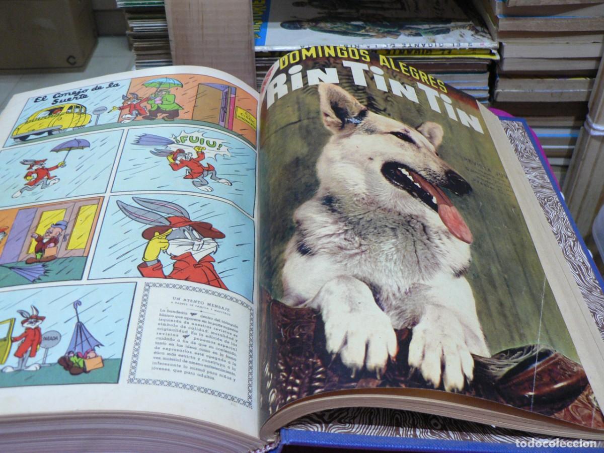 C&oacute;mics: DUMBO TOMO CON 23 EJEMPLARES Y CINCO MAS - Foto 4