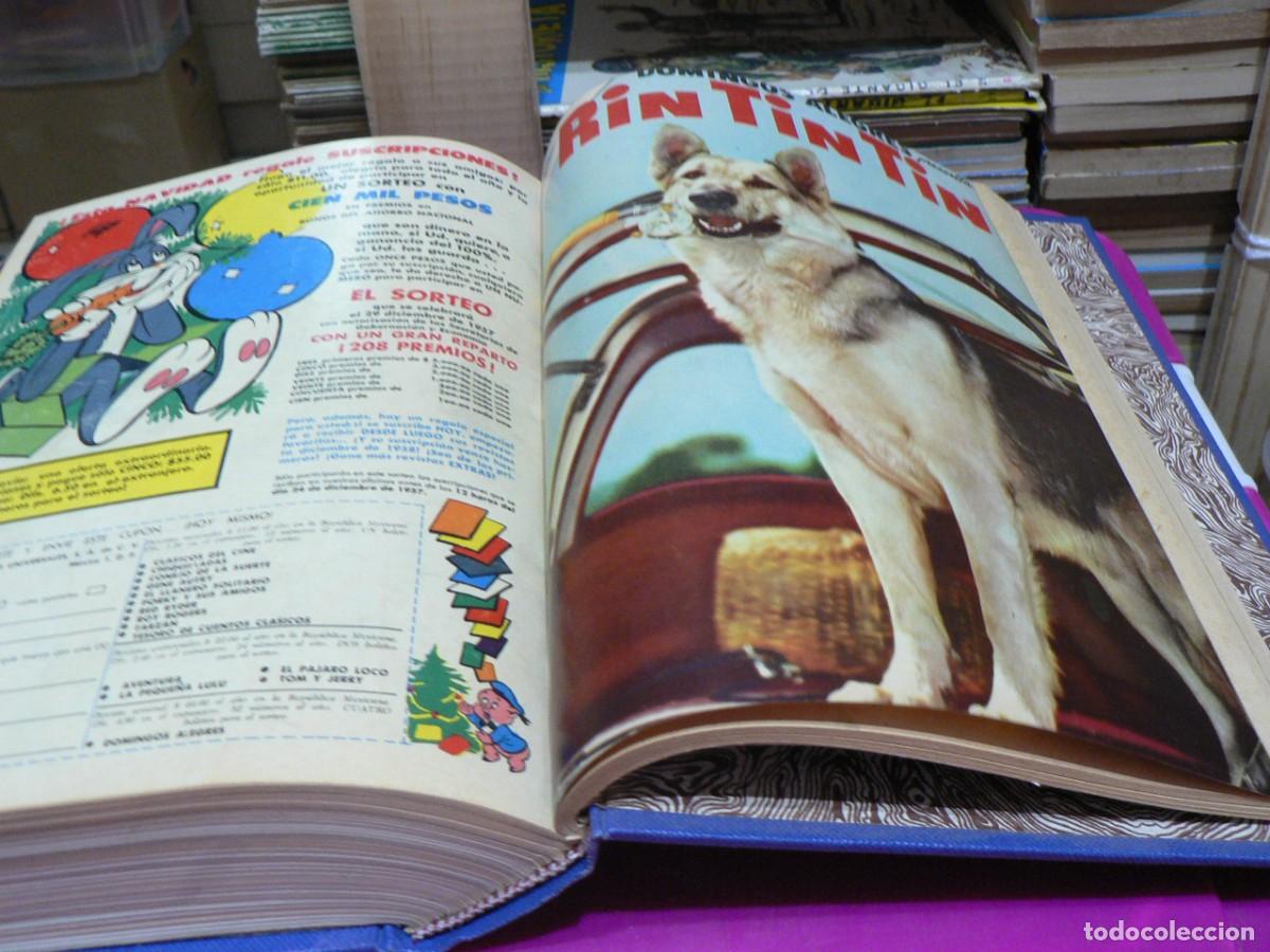 C&oacute;mics: DUMBO TOMO CON 23 EJEMPLARES Y CINCO MAS - Foto 5