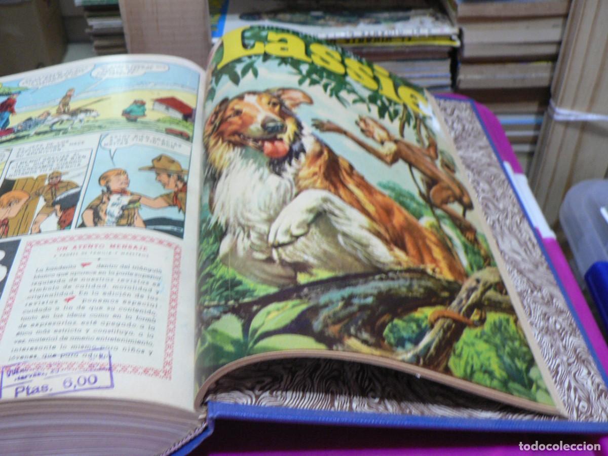 C&oacute;mics: DUMBO TOMO CON 23 EJEMPLARES Y CINCO MAS - Foto 6