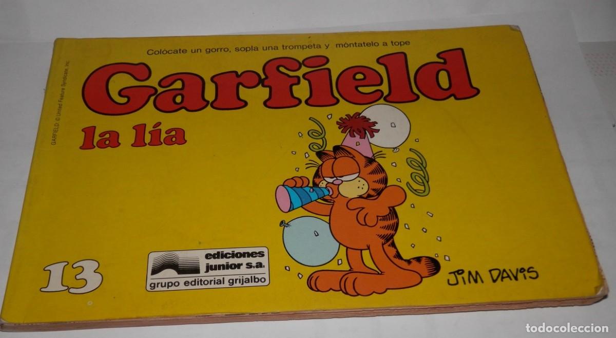 C&oacute;mics: COMIC/TEBEO DE LA SERIE GARFIELD - Foto 1