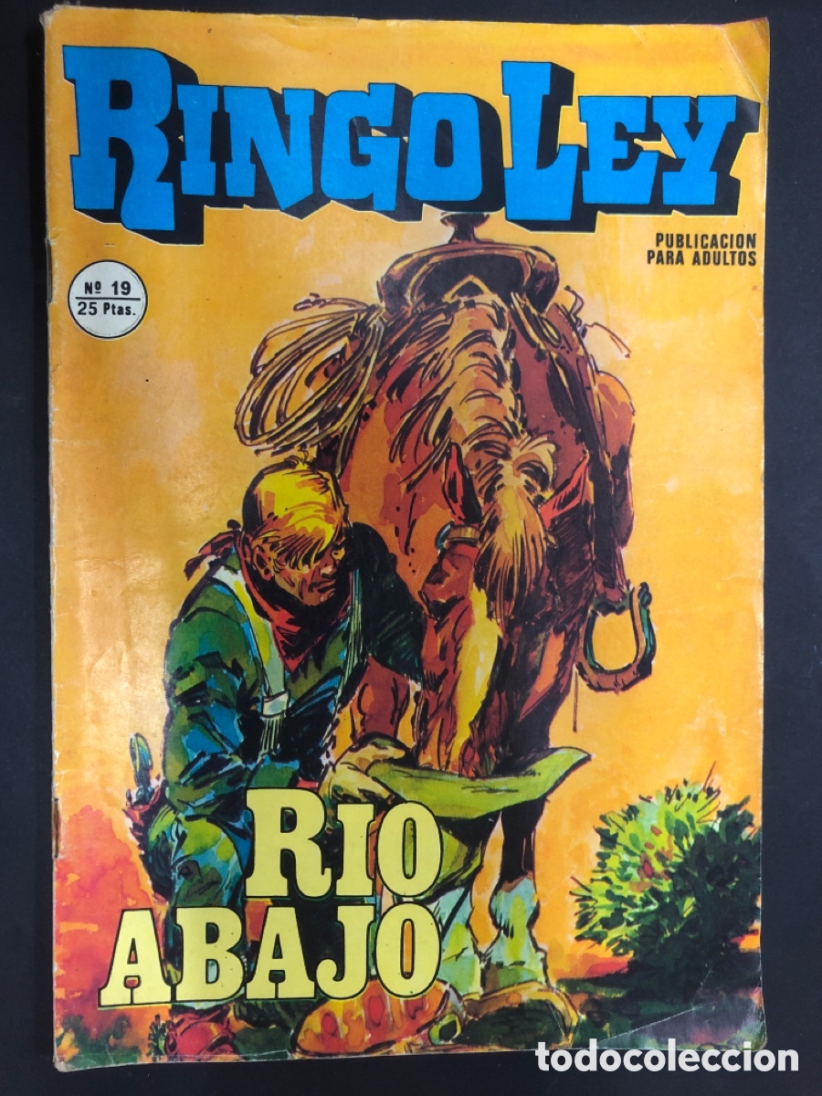 Comics: COMIC NOVELA GRAFICA RINGO LEY N&ordm; 19 EDITORIAL ALONSO