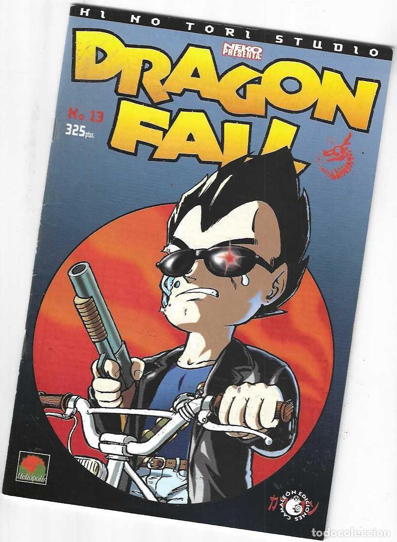 C&oacute;mics: DRAGON FALL N&ordm; 13 -COMIC DE GRAPA - BUEN ESTADO - Foto 1