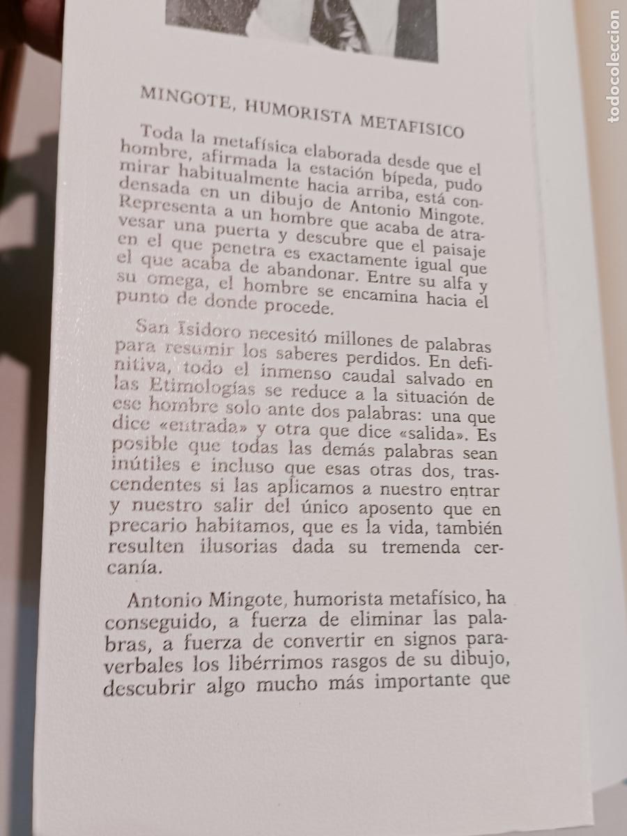 C&oacute;mics: MINGOTE HOMBRE AN&Oacute;NIMO 1976 - Foto 2