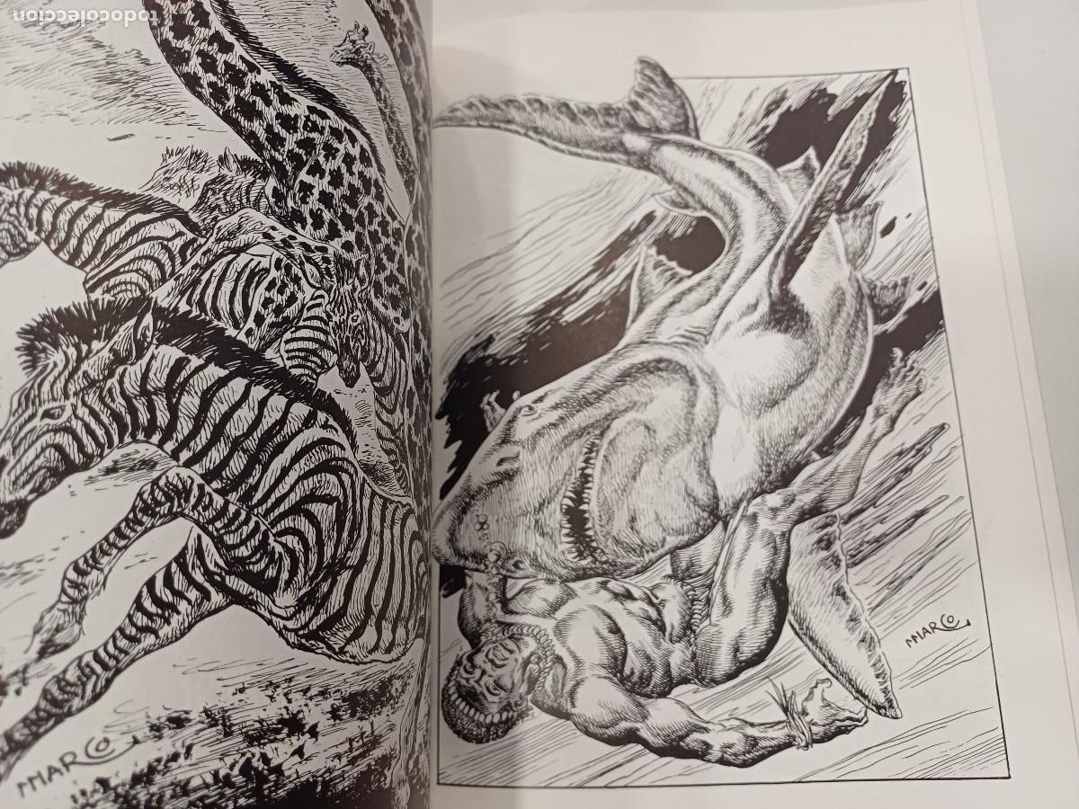 C&oacute;mics: EL BESTIARIO/DIBUJOS DE TOMAS MARCO. - Foto 2