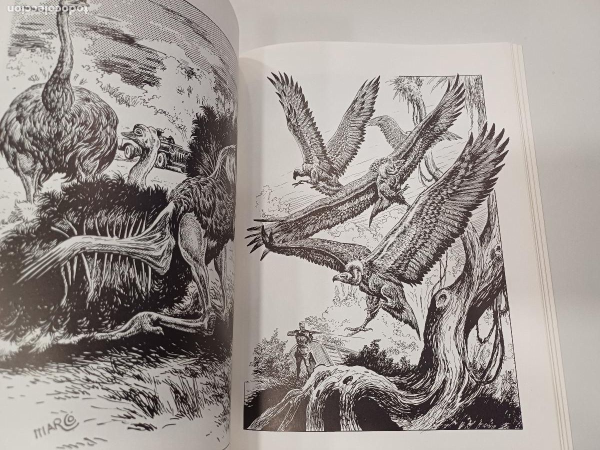 C&oacute;mics: EL BESTIARIO/DIBUJOS DE TOMAS MARCO. - Foto 5