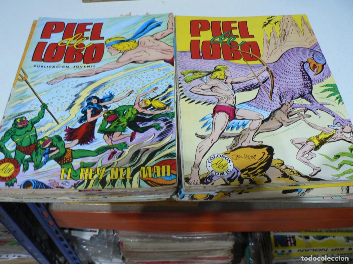 C&oacute;mics: LOTE DE PIEL DE LOBO CON 26 EJEMPLARES - Foto 1