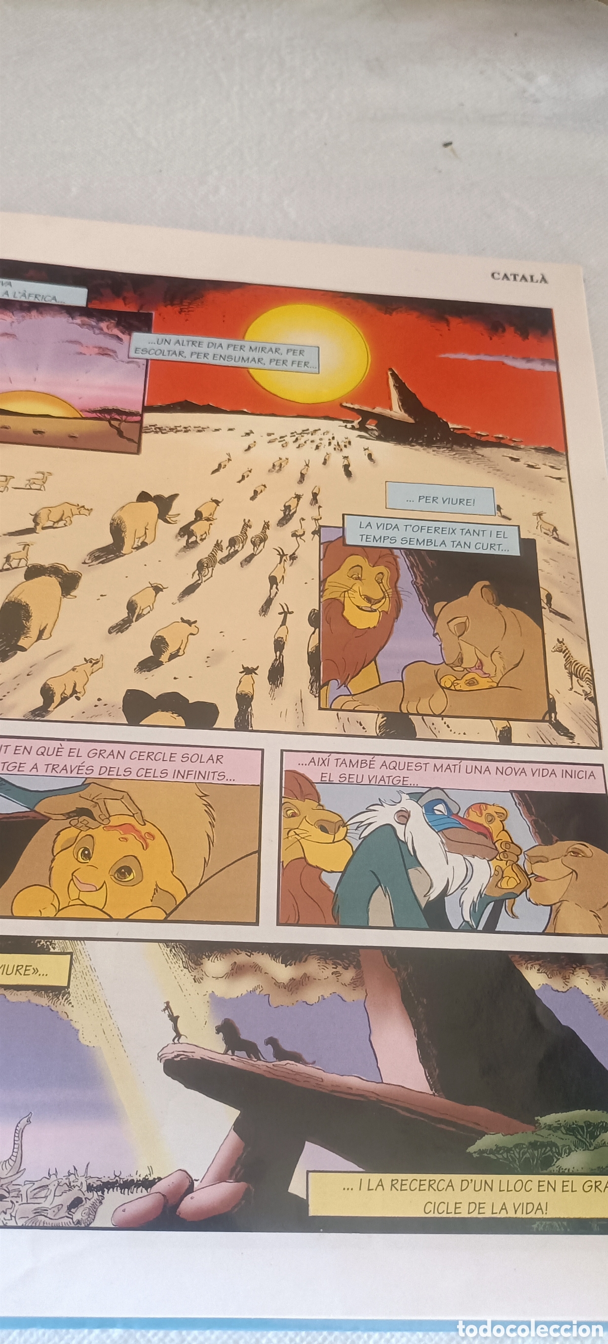 C&oacute;mics: El Rei Lle&oacute; Libro-comic biling&uuml;e - Foto 3