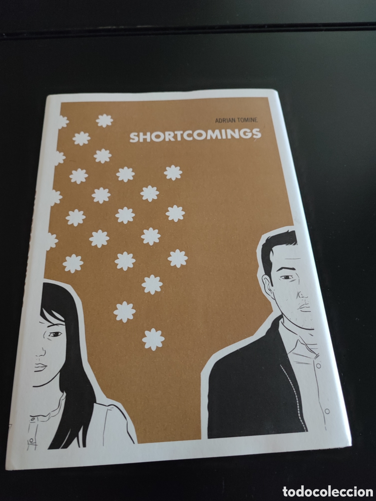 C&oacute;mics: Shortcomings. Adri&aacute;n tomine - Foto 1
