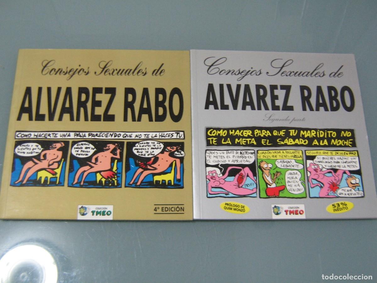 C&oacute;mics: CONSEJOS SEXUALES DE ALVAREZ RABO - Foto 1
