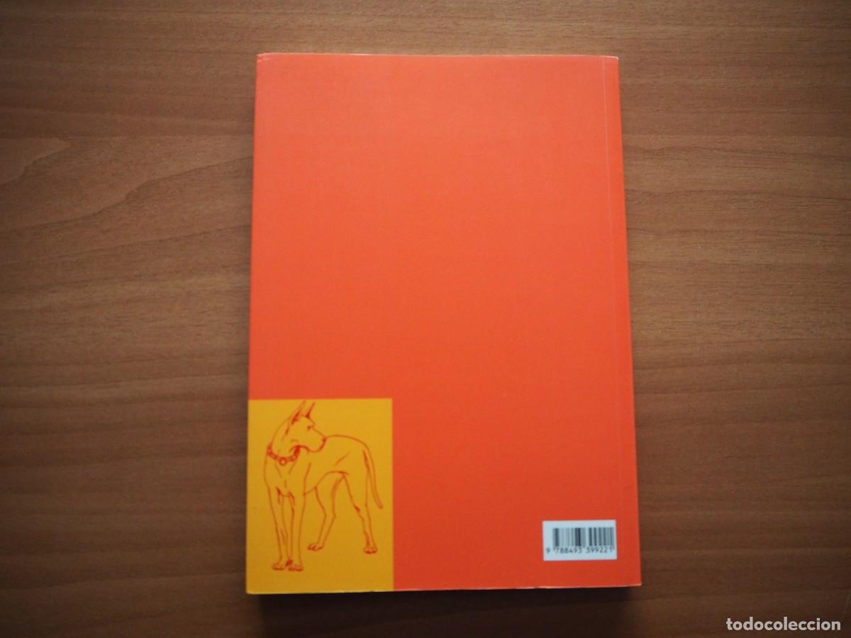 C&oacute;mics: LA CASA DE ENFRENTE - VANYDA - PONENT MON - Foto 2