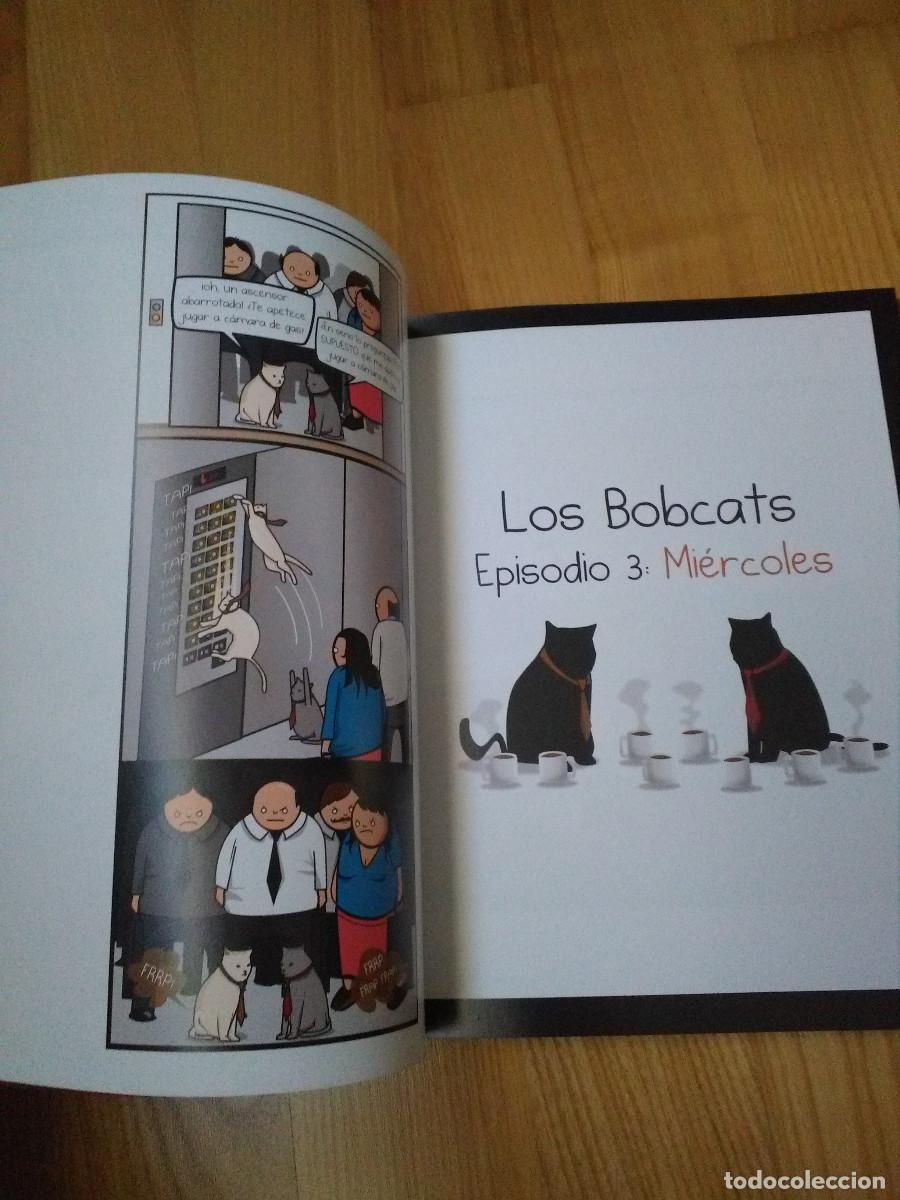 C&oacute;mics: Comic ASTIBERRI C&oacute;mo saber si tu gato planea matarte - Foto 2